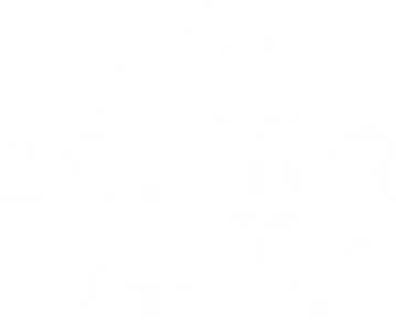 Boxing King
